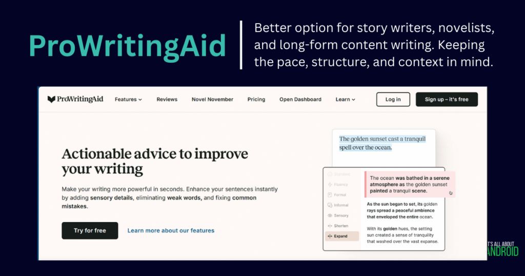 Grammarly-Blog-Post-ProWritingAid